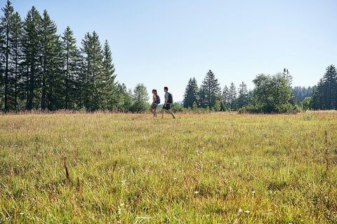Wandern im Kojenmoos in Riefensberg