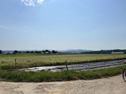 Zemljevid