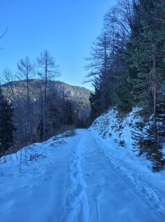 Photo de Anita Stadtherr le long du parcours