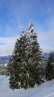 Fotografia z Paula Heichinger na trase