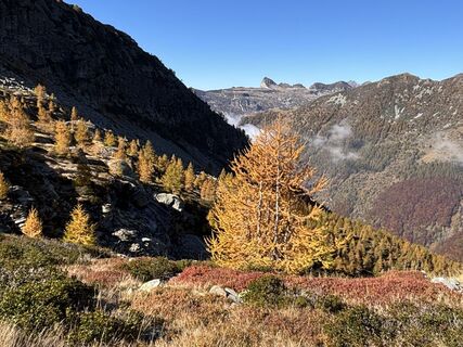 Foto von Susanna mastrobuoni entlang der Tour