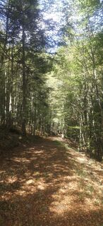 Foto von Darija Forgač entlang der Tour