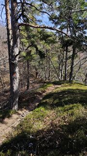 Foto de Franca Škarja a lo largo del recorrido