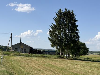 Foto von Schaali entlang der Tour