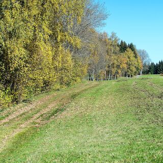 S24_Hoch2 Runde_HelgaBaier