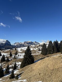 Photo de Martin Tomann le long du parcours