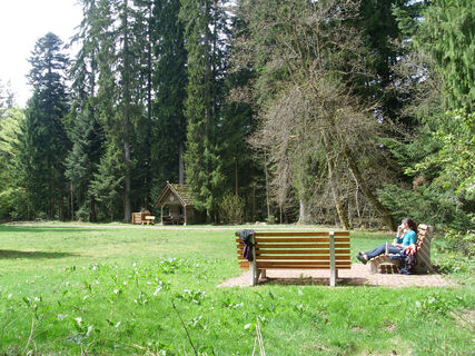 Die Wohlfühlbänke auf der idyllischen Waldliegewiese
