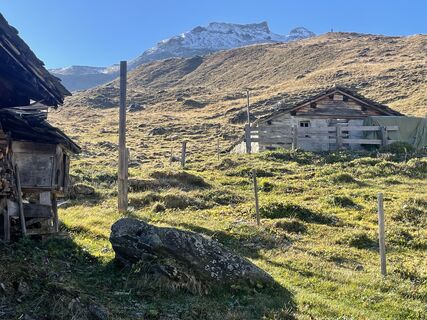 Foto da Thomas Weber lungo il tour