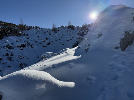 Foto von Natur_erleben_dg entlang der Tour