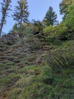 Photo de WolBo le long du parcours