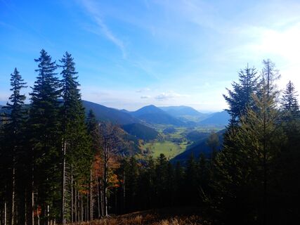 Losenheim - Nadlgrat - Kaiserstein - Klosterwappen - Schauerstein - Edelweißhütte