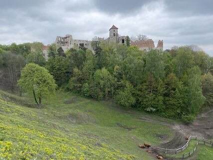 Fotografie z Krzysztof Taraszka na trase