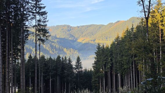 Foto von EP87 entlang der Tour