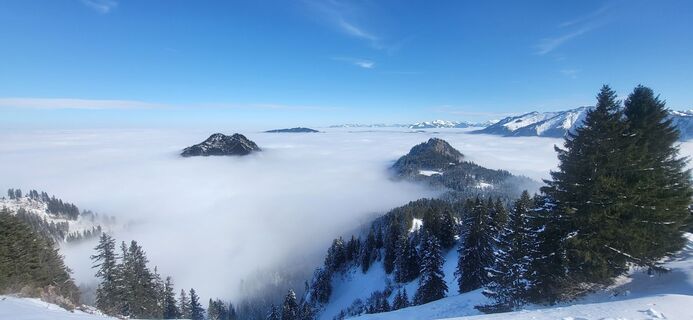 Foto von Isabella Leopolder entlang der Tour