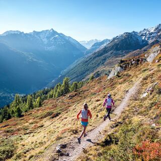 Der Weg beginnt durch die Sträucher oberhalb des Val d'Hérémence.
