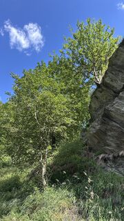 Zdjęcie z Mountain Cat ? ⛰️ wzdłuż trasy