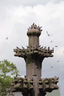 Kuva osoitteesta Günter Kleutsch matkan varrella