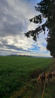 Photo de Anita Lunzer 1 le long du parcours