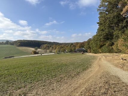 Foto de F. Shirazi-Joska a lo largo del recorrido