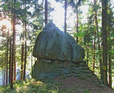 Zemljevid