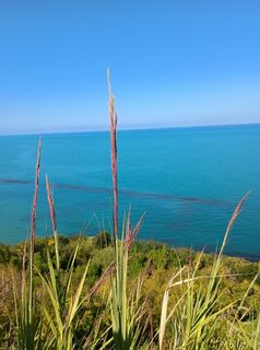 Foto de Leonardo Busnelli a lo largo del recorrido