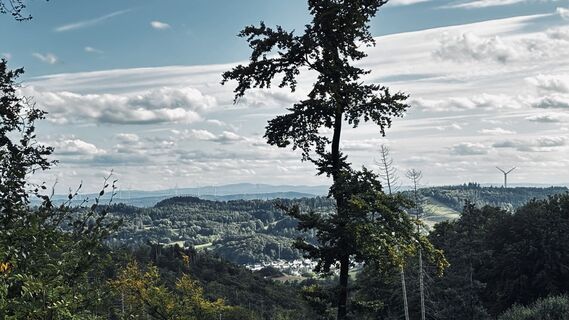Foto von Klaus Tillmanns entlang der Tour
