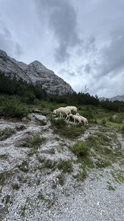 Foto von Janek Hecht entlang der Tour