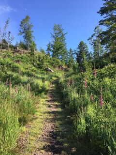 Foto de Ralf Umminger a lo largo del recorrido