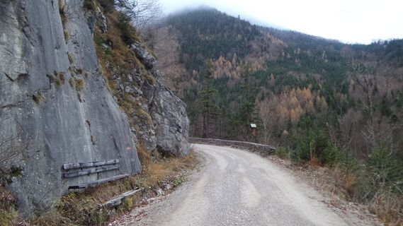 Aussichtspunkt Rindbachtal