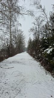 Fotografija s spletne strani Mangolein na poti