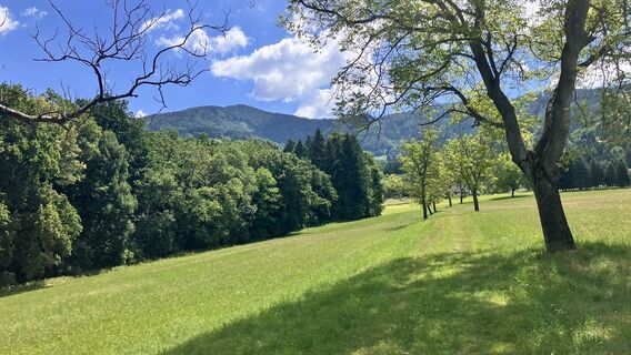 Fotografia z Robert Gerard na trase