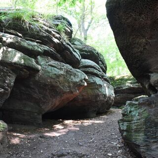 Jägersteine im Reinhäuser Wald