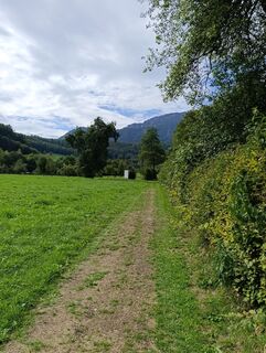 Fotografie z Meli na trase