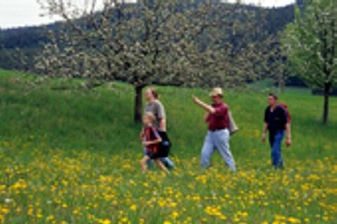 Foto: Archiv Waldviertel Tourismus