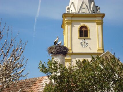 WAB - Regionale Route B: Krumbach - Maria Schnee
