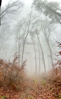 Fotografie z Kellner Heidi na trase