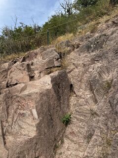 Photo de Adnan Cemal le long du parcours