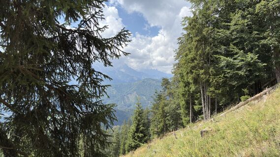 Foto von 0x746821 entlang der Tour