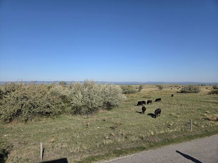 Foto von Sandy entlang der Tour