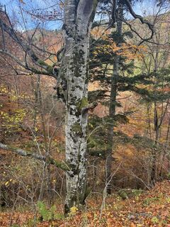 Fotografia z Firma Pool1 Hackl Roman na trase