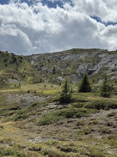 Photo de Nico Pfaendler le long du parcours