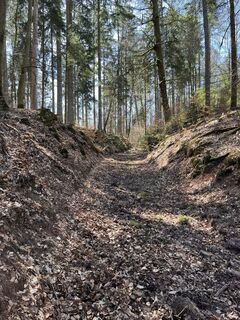 Photo de Lothar le long du parcours
