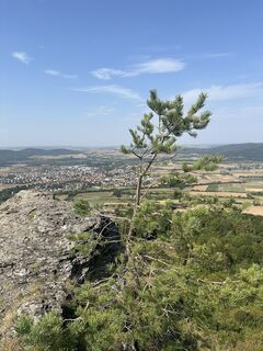 Foto von FrankLiebe entlang der Tour