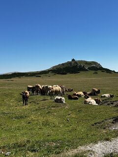 Photo de Florian Markes le long du parcours