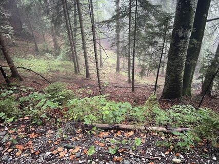 Photo de Henryk Pietrzyk le long du parcours