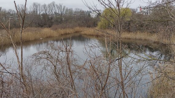 Foto de bergwolfi a lo largo del recorrido