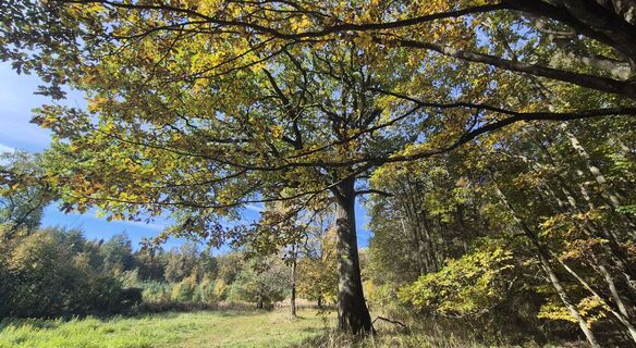 Fotó a Dr. Rolf Ziesche honlapról a túra során