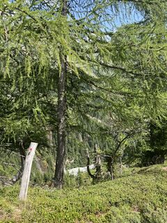 Foto von Marieke entlang der Tour