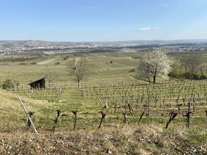 Fotografia z Attila Mihalcz na trase