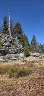 Foto von Michael Steiniger entlang der Tour